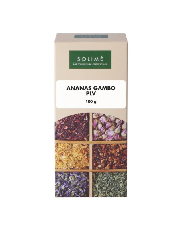 ANANAS POLV GAMBO 100G
