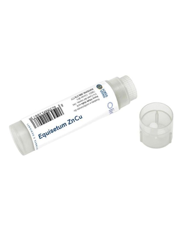 EQUISETUM ZN/CU 100 Gl.FVT