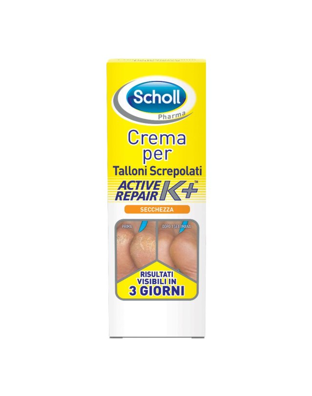 SCHOLLS CR TALLONI ACT REPAIR K+
