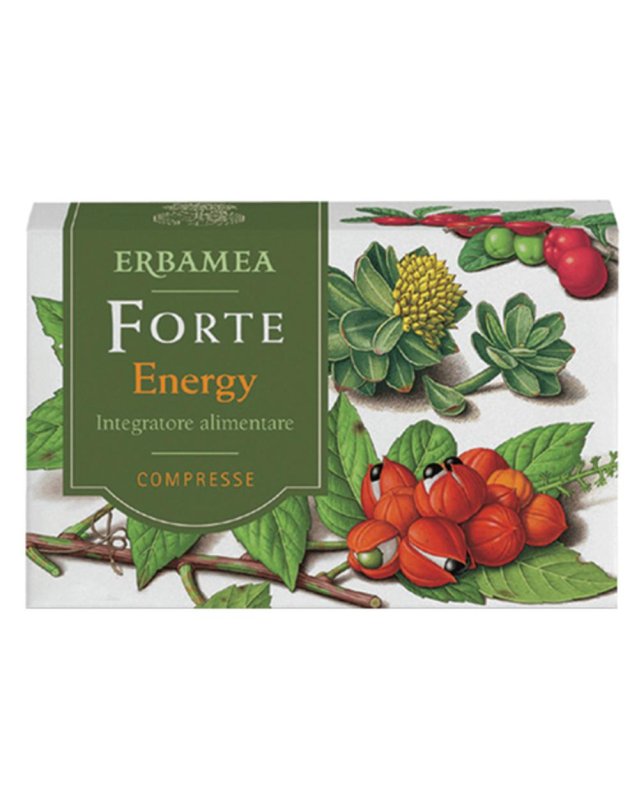 FORTE ENERGY 24CPR