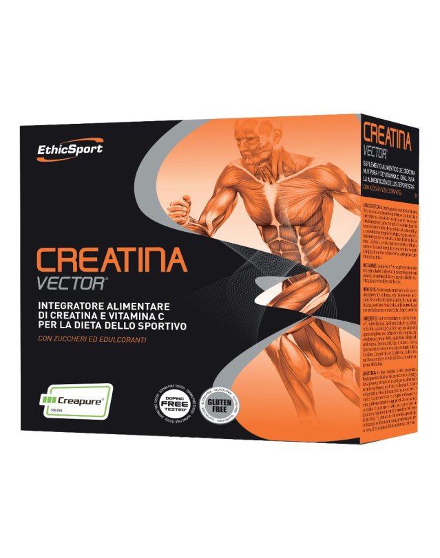CREATINA VECTOR 20BUST 8G