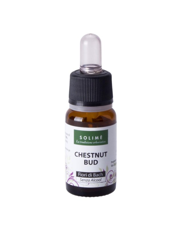 CHESTNUT BUD 10ML