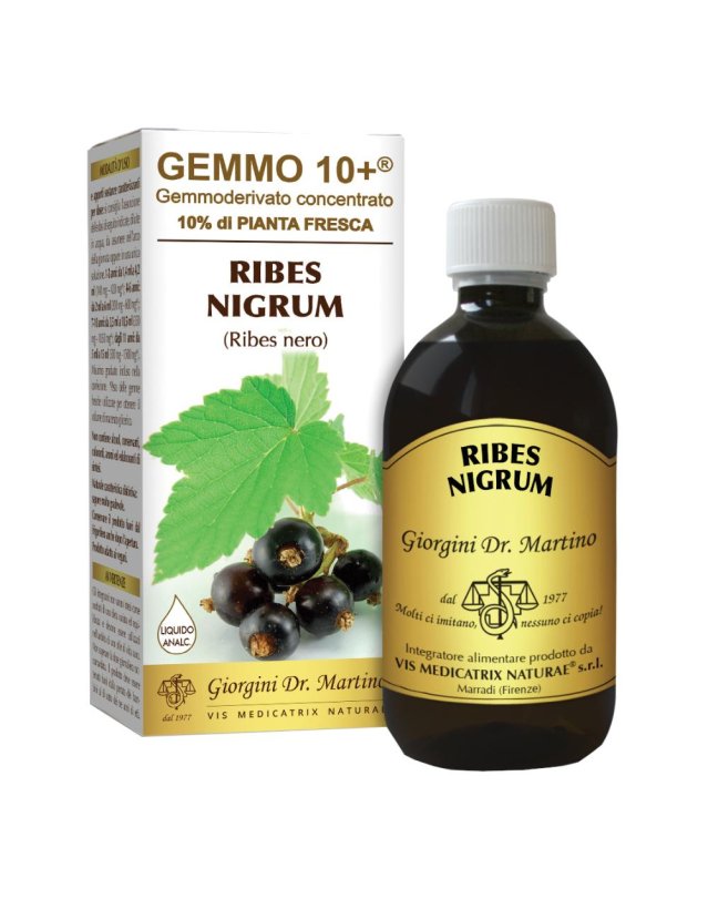 RIBES NE ANALC GEMM 10+500M GIOR