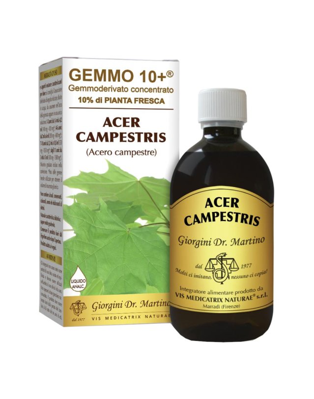 ACERO CAMP 500ML ANALCO GEM10+