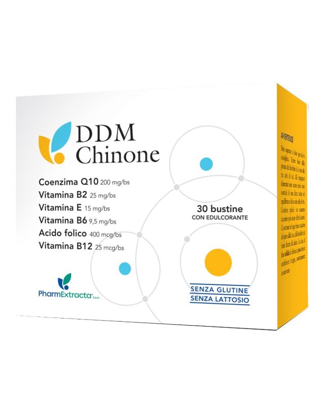 DDM CHINONE 30 BUSTINE