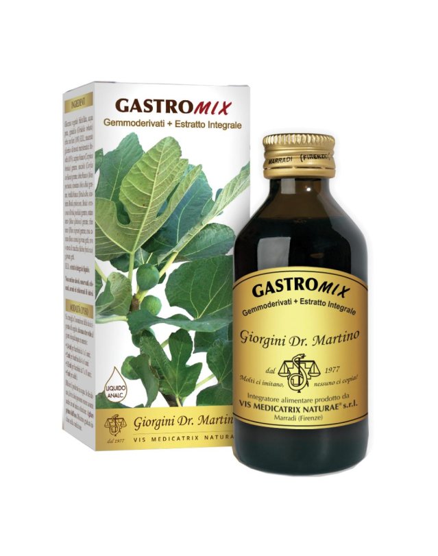 GASTROMIX Liq.Analc.100ml