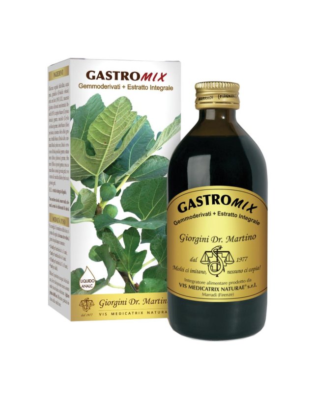GASTROMIX Liq.Analc.200ml SVS