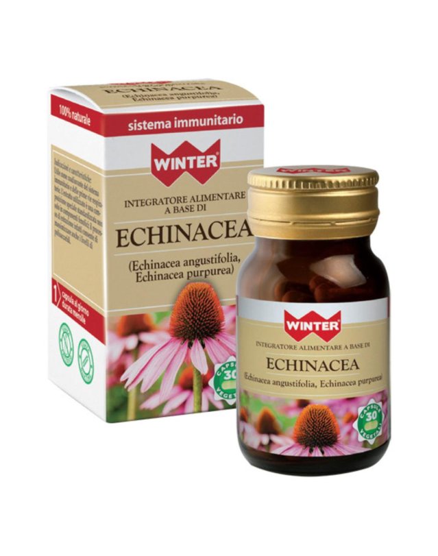 WINTER ECHINACEA 30CPS VEG