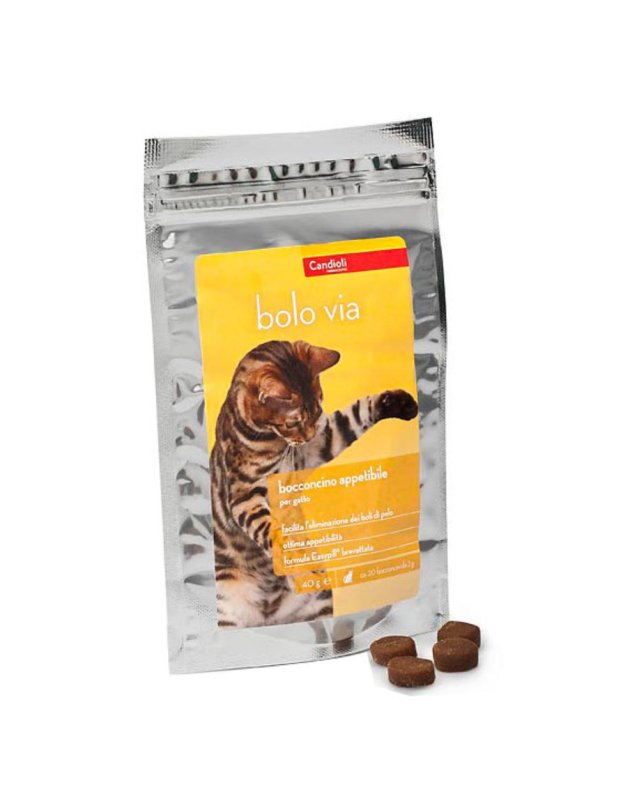 BOLO VIA BUSTA 40G