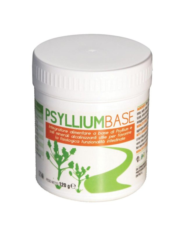 PSYLLIUM BASE POLVERE 120G AVD