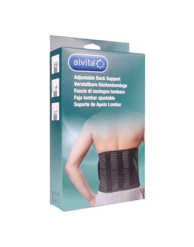 ALVITA FASCIA LOMBARE 2