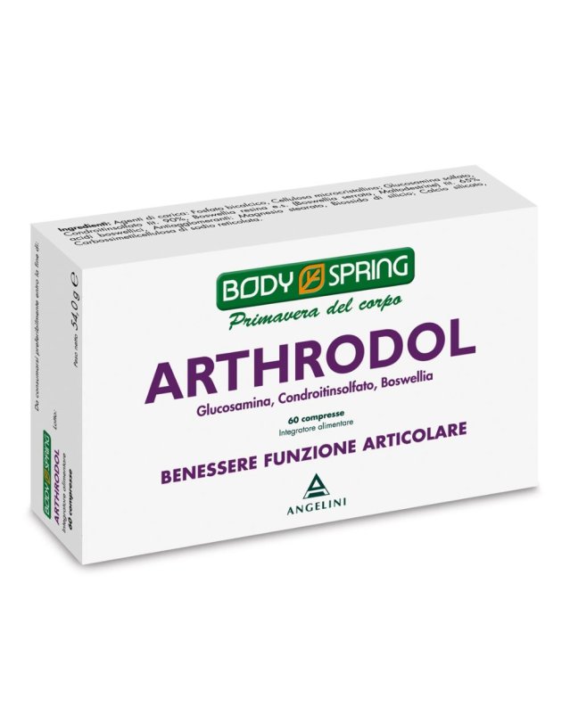 BS ARTHRODOL 60CPR BSP