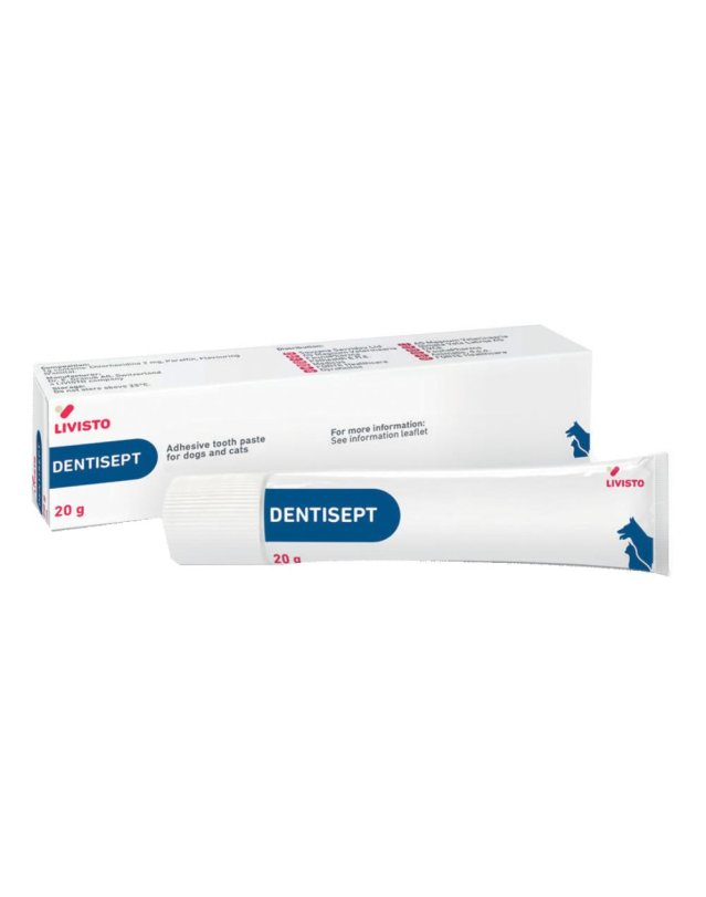 DENTISEPT Pasta Dent.20g