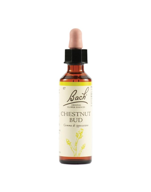 BACH  7 Chestnut Bud 20ml LKR