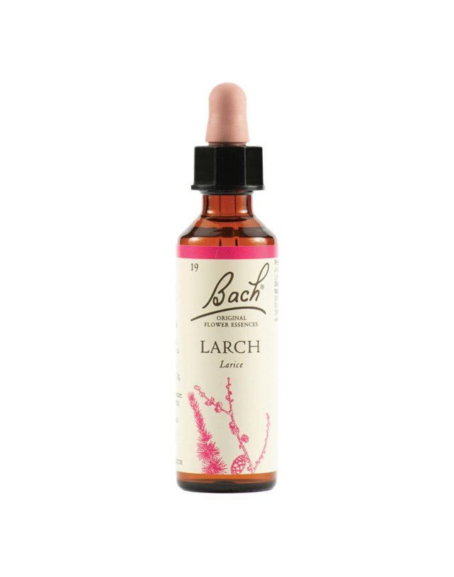 BACH 19 Larch Gtt 20ml