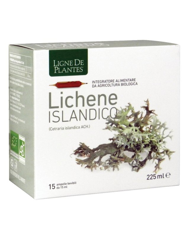 LICHENE ISLANDICO 15AMPX15ML