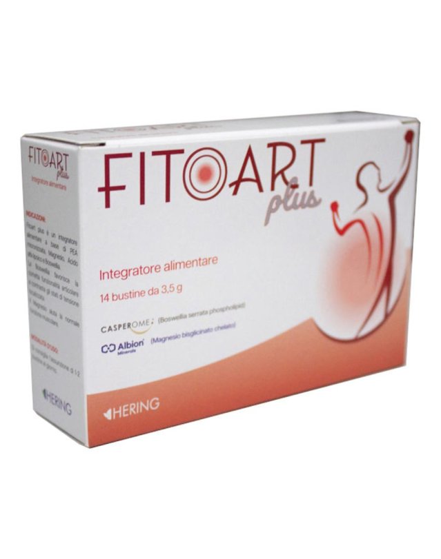 FITOART Plus 14 Bust.