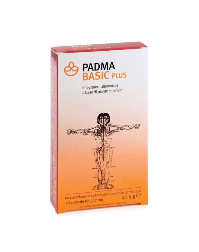 PADMA BASIC PLUS 40CPS