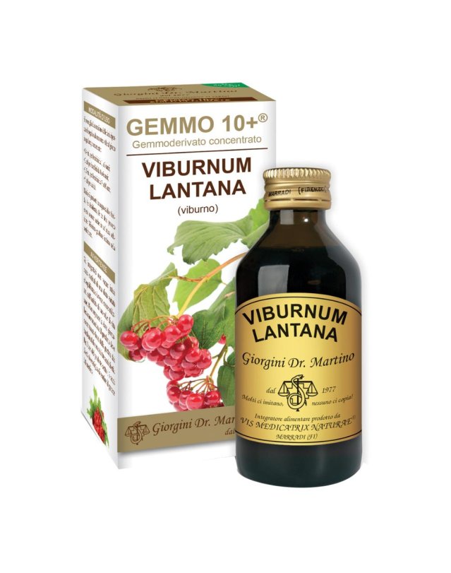 VIBURNO LIQ ANALCOLICO 100ML