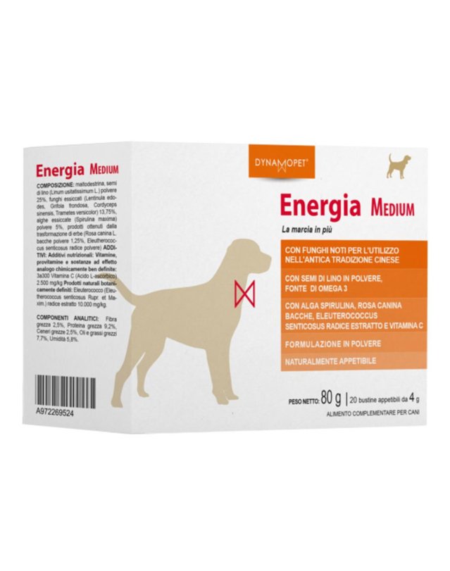 ENERGIA 20BUST 4G