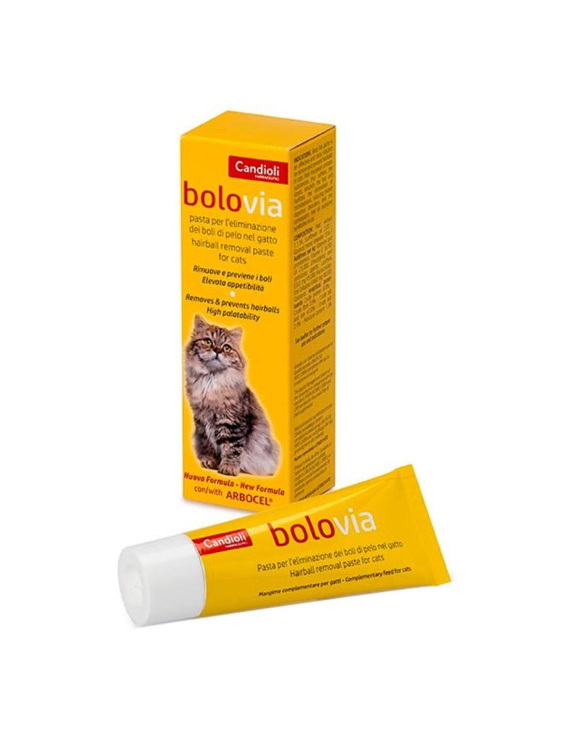 BOLO VIA PASTA GATTI 25G