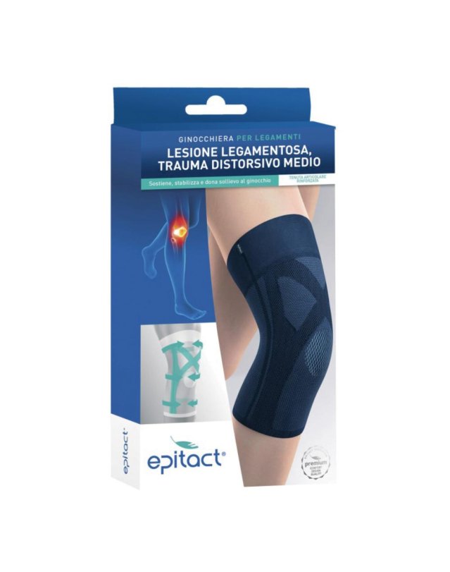 EPITACT GINOCCHIERA LEGAM 2