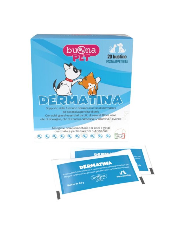 DERMATINA 40G