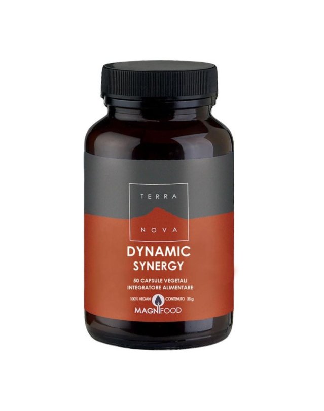 DYNAMIC SYNERGY 50CPS TERRANOV