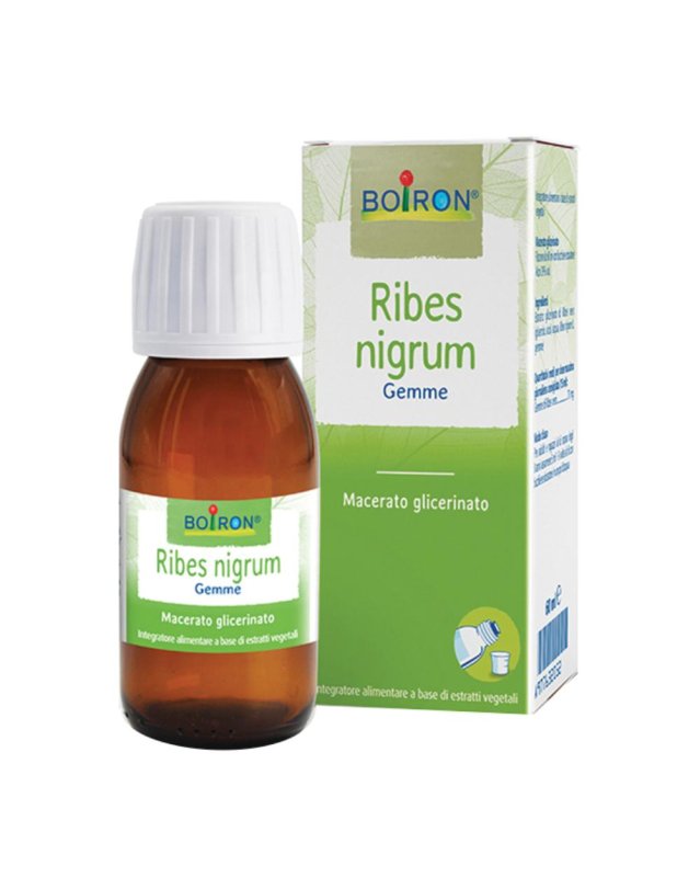 Ribes Nigrum MG 60ml -Integratore per il Benessere Immunitario