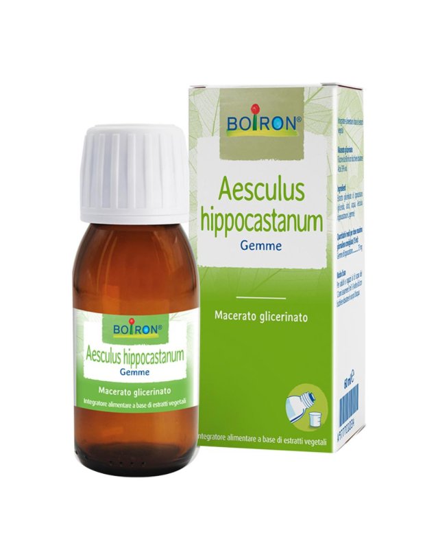 AESCULUS HIP MG 60ML INT BO