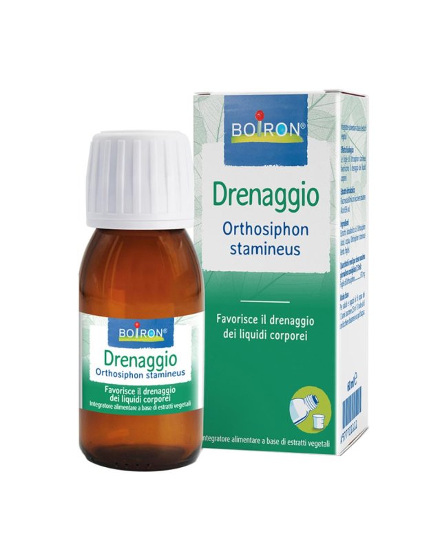BO.ORTHOSIPHON EI  60ml