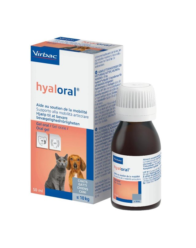 HYALORAL GEL ORALE 50ML