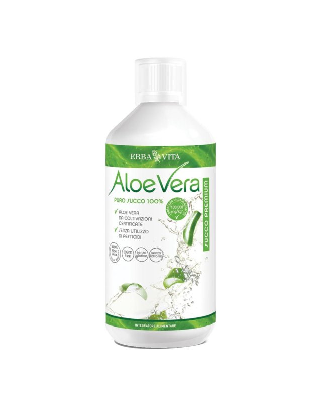 ALOE VERA Succo 100%1Lt    EBV