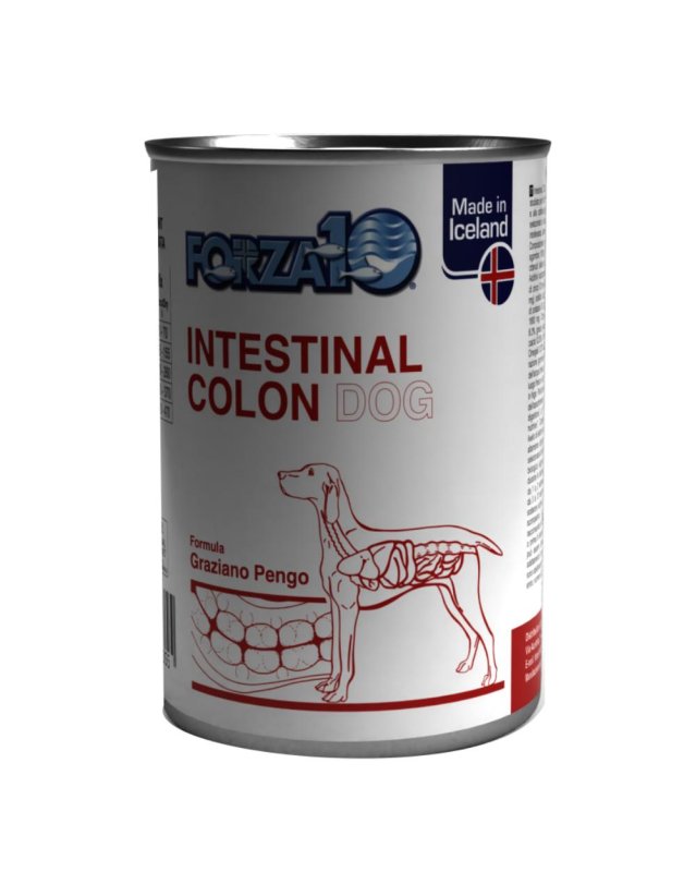 F10 CANE INTESTINAL COLON 390