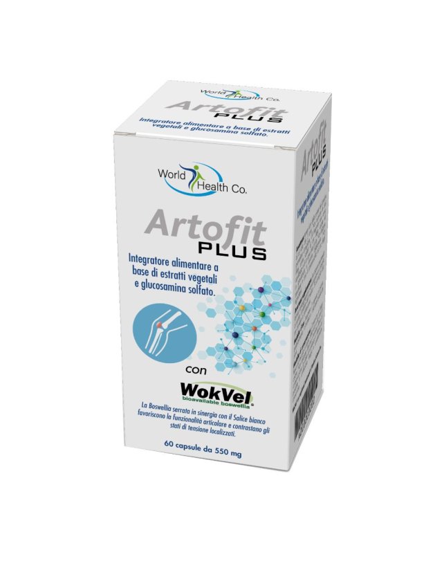 ARTOFIT PLUS 60CPS