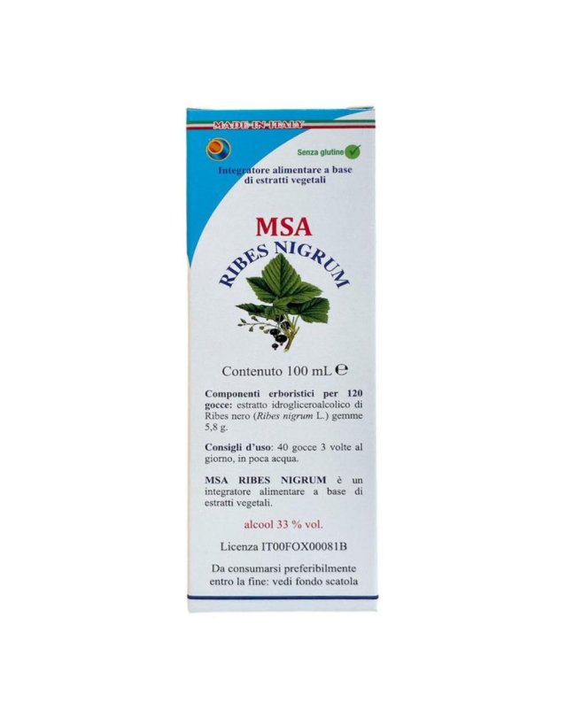 MSA RIBES NIGRUM 100ML