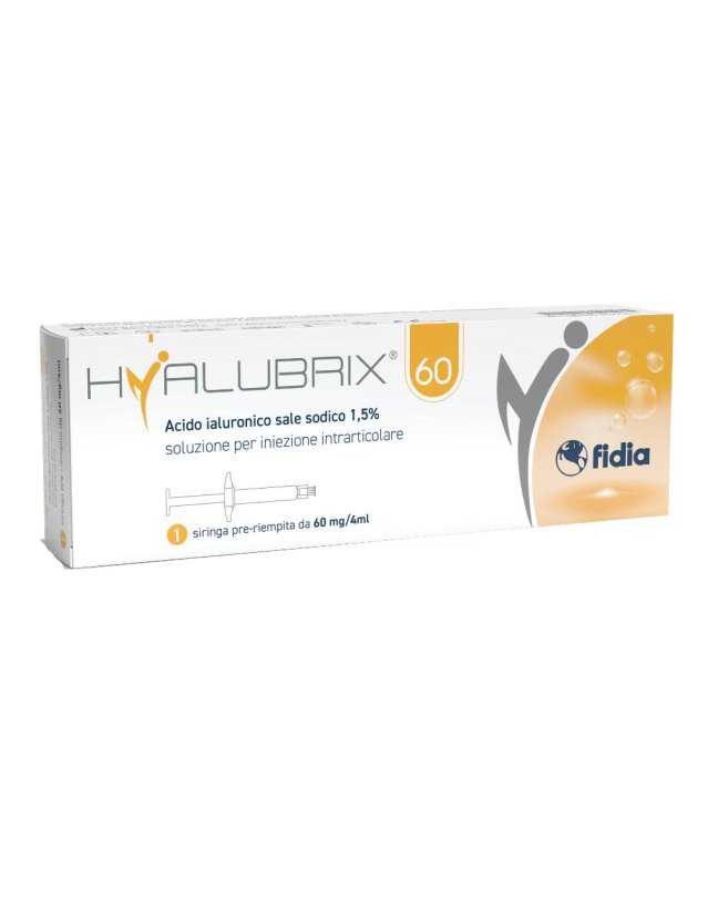 HYALUBRIX 1*Siringa 60mg/4ml