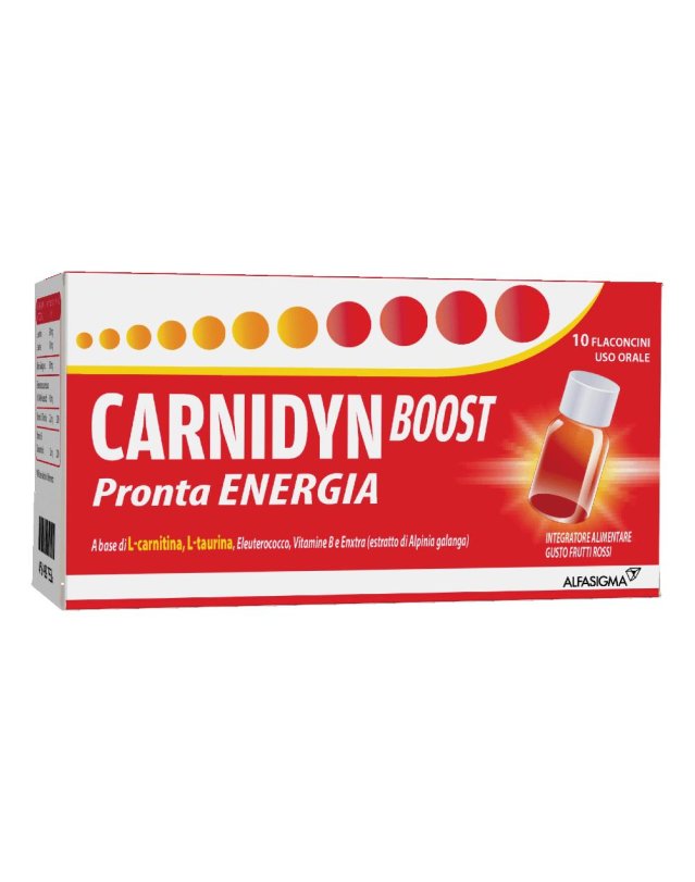 CARNIDYN Boost 10 Fl.