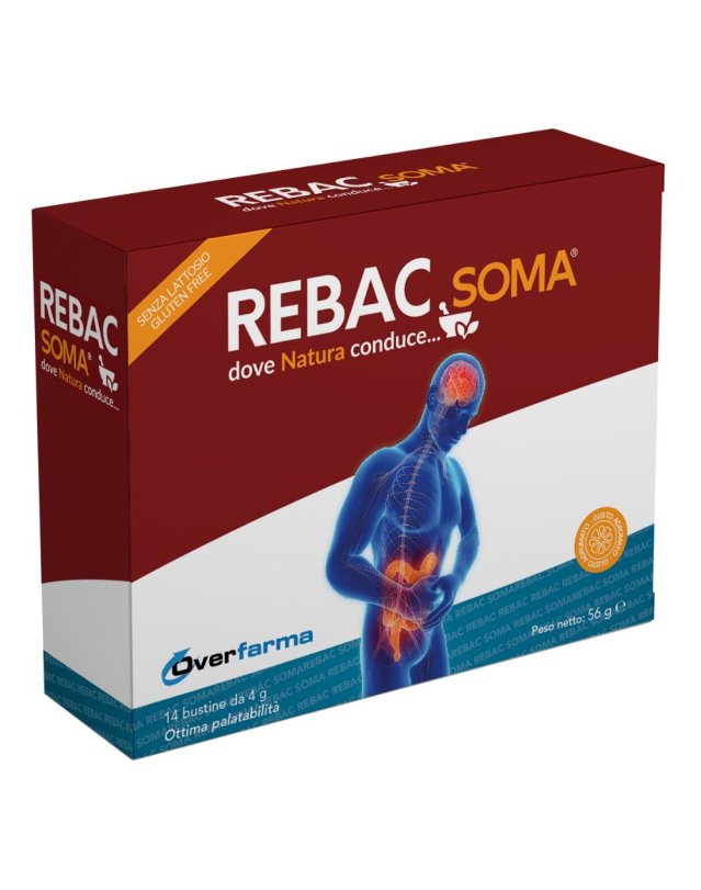 REBAC SOMA 14BUST